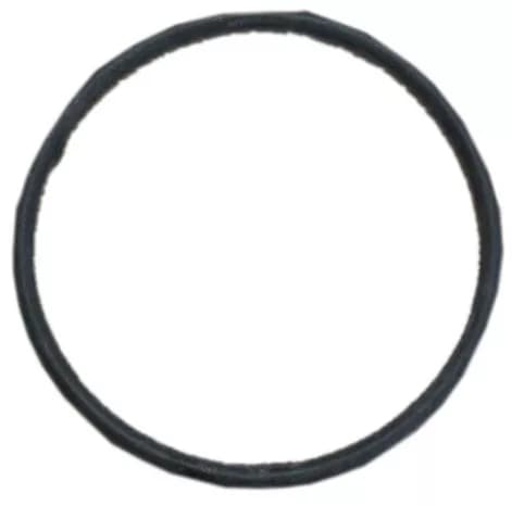 Těsnění čerpadla pro myčky Gorenje Mora (398635)