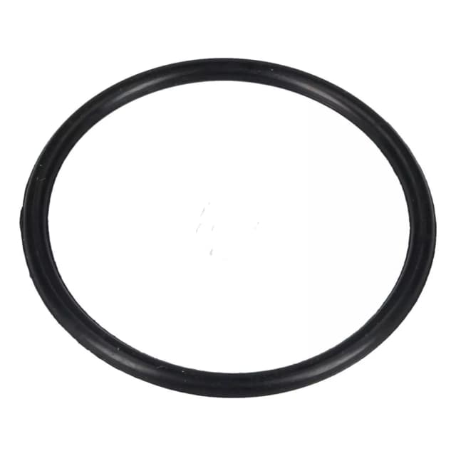 Těsnění víčka dekalcifikátoru Beko Blomberg - 1766470100