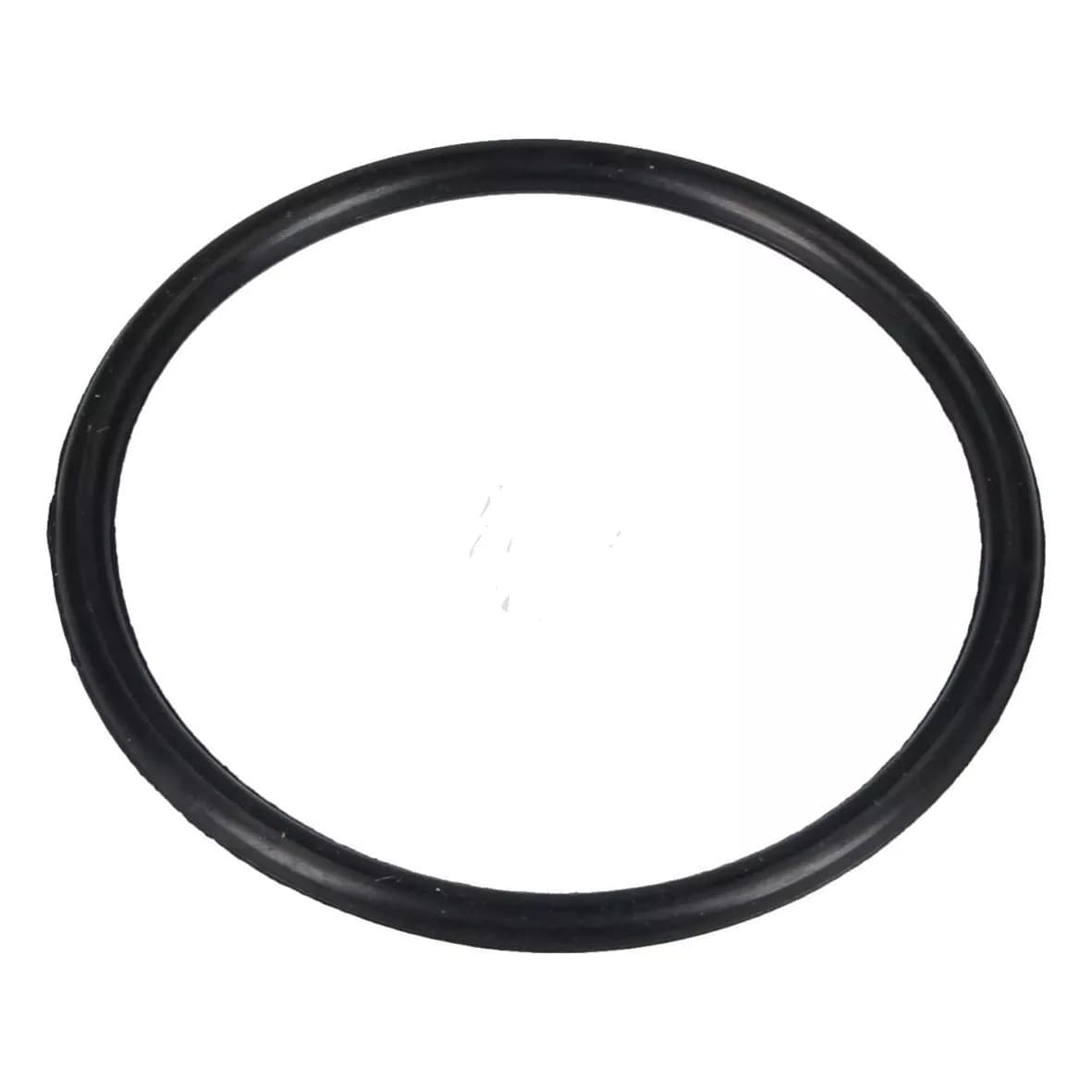 Těsnění víčka dekalcifikátoru Beko Blomberg - 1766470100